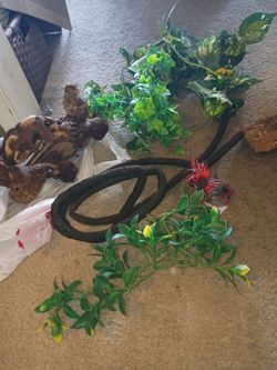 Reptile Terrarium Decor Bundle