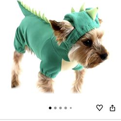 Dino dog costume