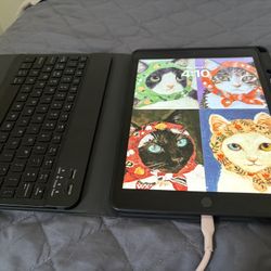Ninth generation iPad