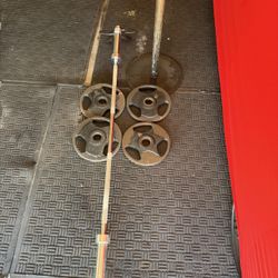 Olympic weights 100lbs total plus 6ft bar and weight tree
