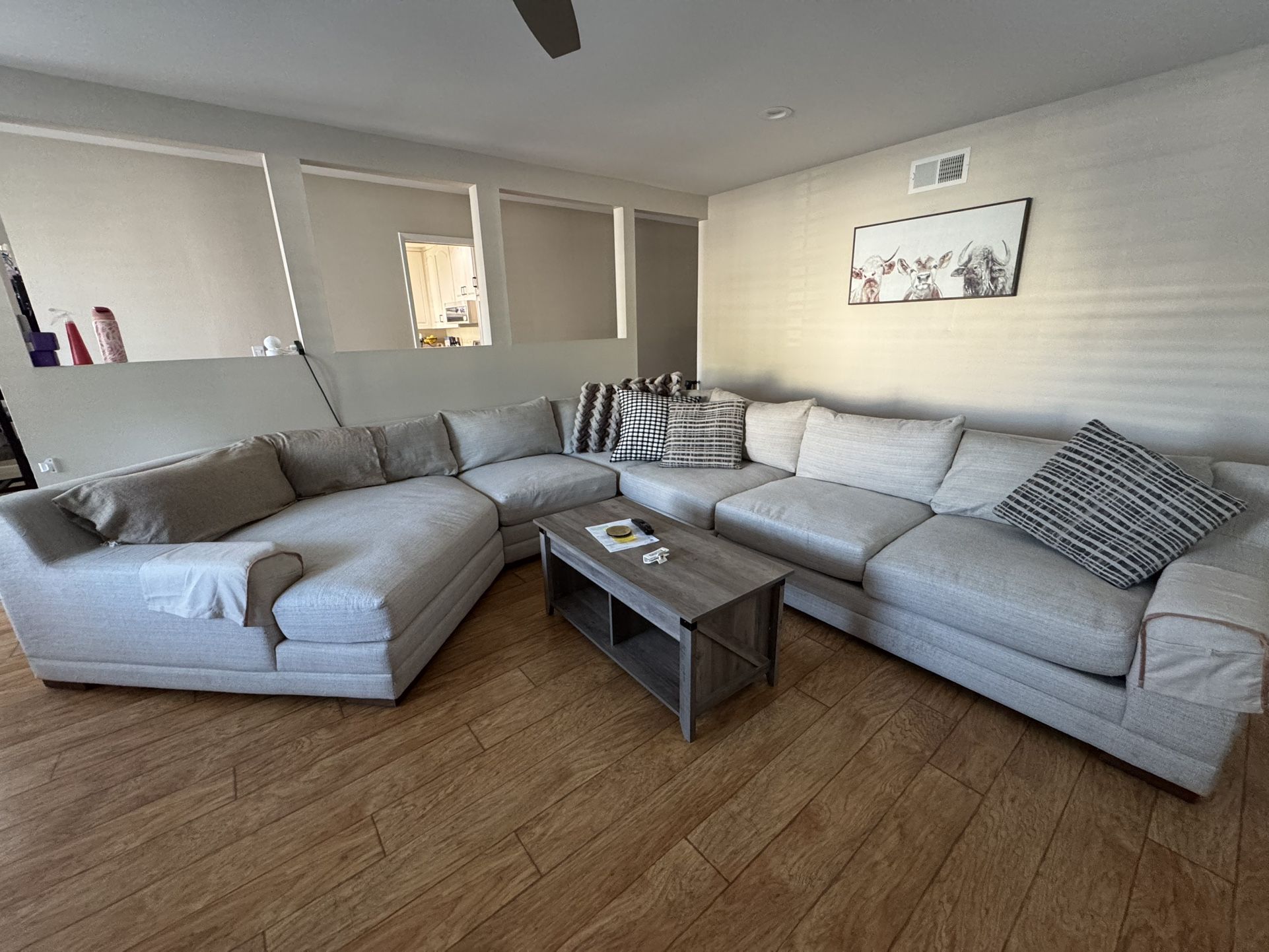 Living Spaces Sectional Couch