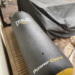 Everlast MMA Bag Punching 