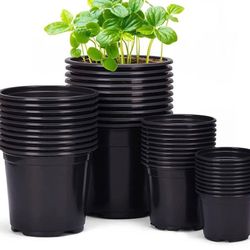 3 Gallon Pots All New $2.00 Each.