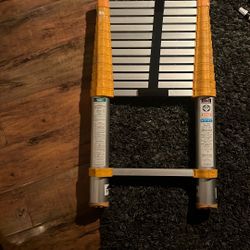 telescope ladder 12.5