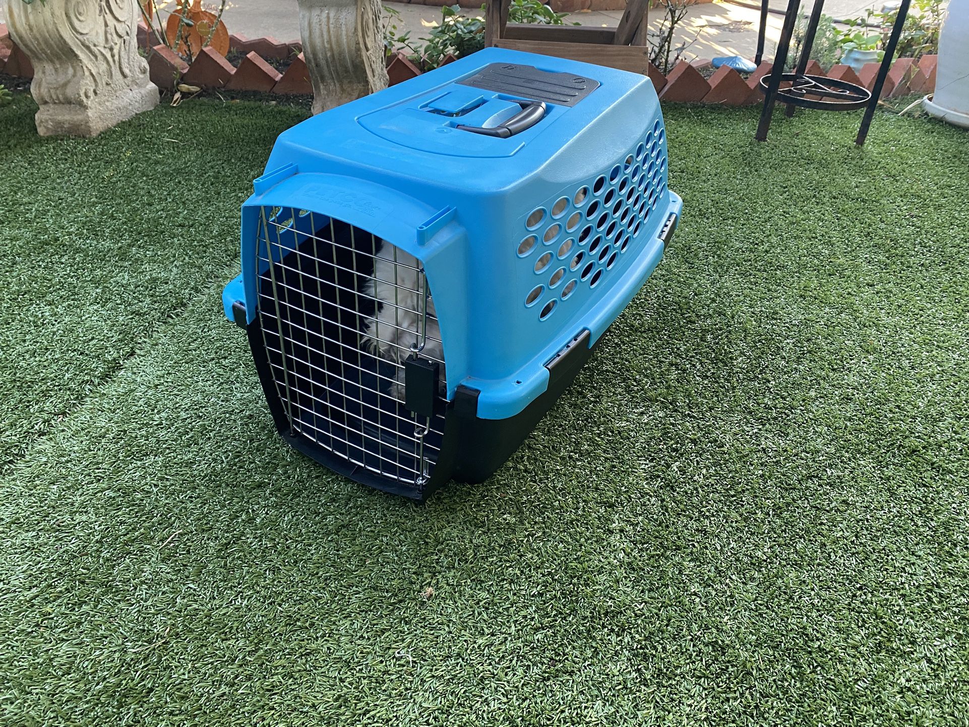 Medium Dog Crate