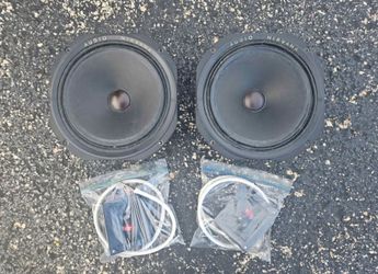 Audio Nirvana 8" Full-Range Speaker Drivers, 8 Ohm 30W, Pair