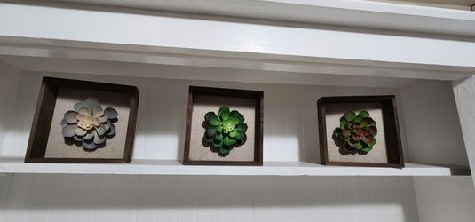 Wall decore 3 framed succulents