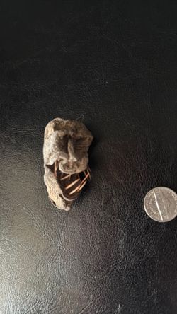 Mummified Monster face.