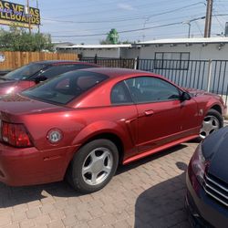 2004 Mustang Last Addition