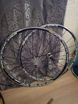 Mavic Aluminum Rims with 10 Speed Cassette