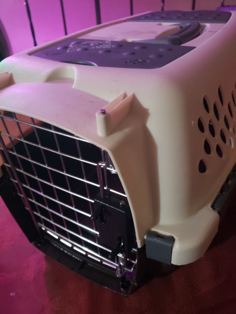 Pet Taxi