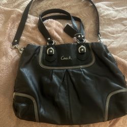 Ashley Exotic leather Coach Purse 