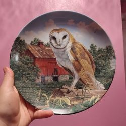 Collectible Edwin m. Knowles plate