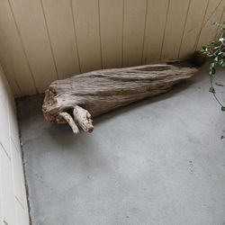 Aquarium Natural Driftwood With Barnacles 