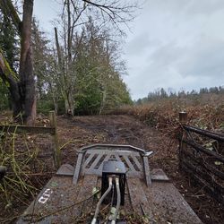 Brush Mulching & Land Clearing