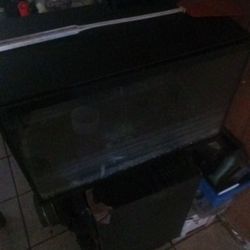 Fish Tank 