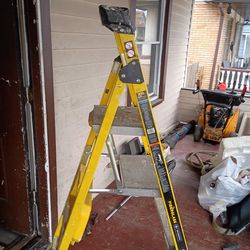 Gorilla step ladder.