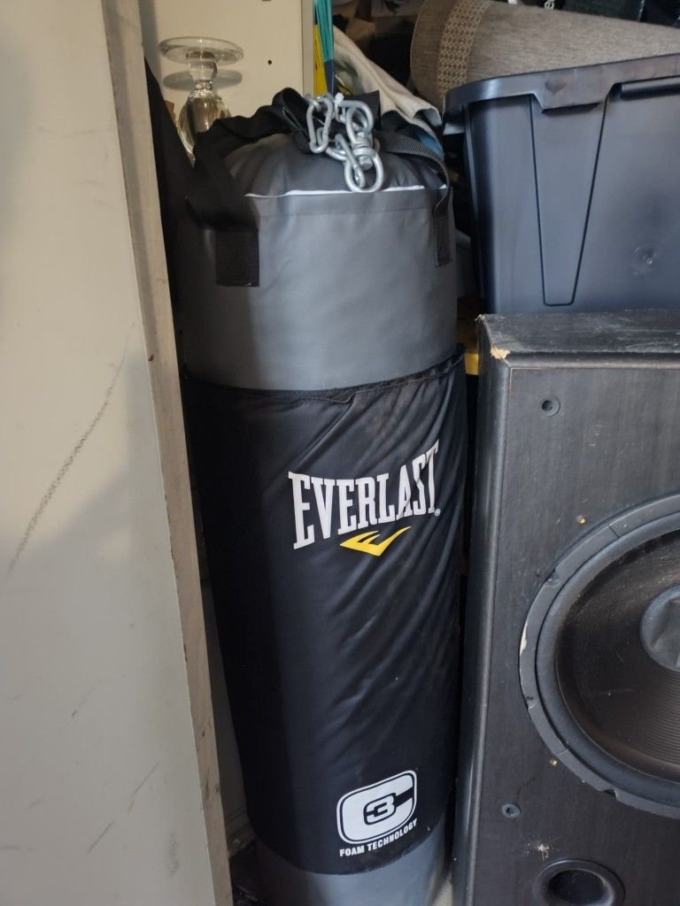 Everlast punching Bag