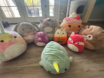 Large squishmellows