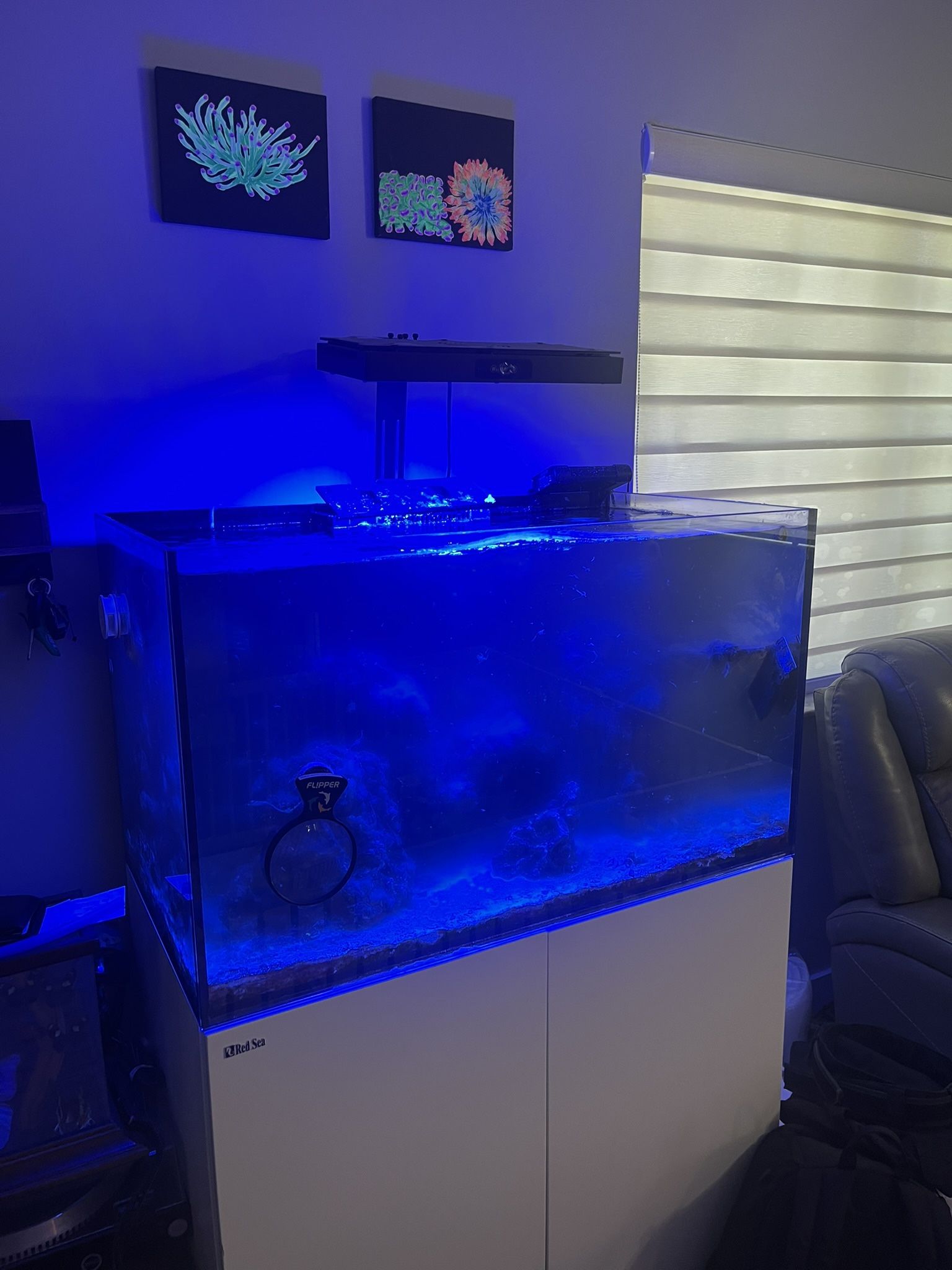 Fish Tank Redsea250