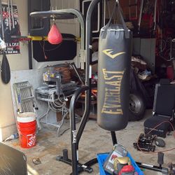 Everlast Dual Station Heavy Bag Stand with 100-lb. Kit and Speedbag