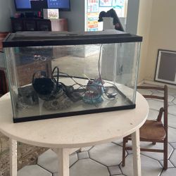 Fish Tank 