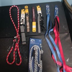 Animal And Dog Supplies 10 Dollars Each Item