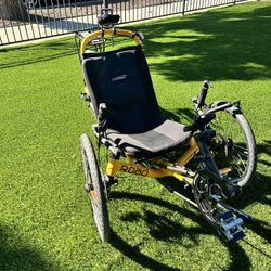 Catrine Trike