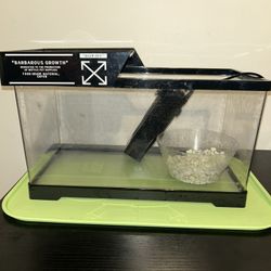 Turtle Tank, Fish Tank 