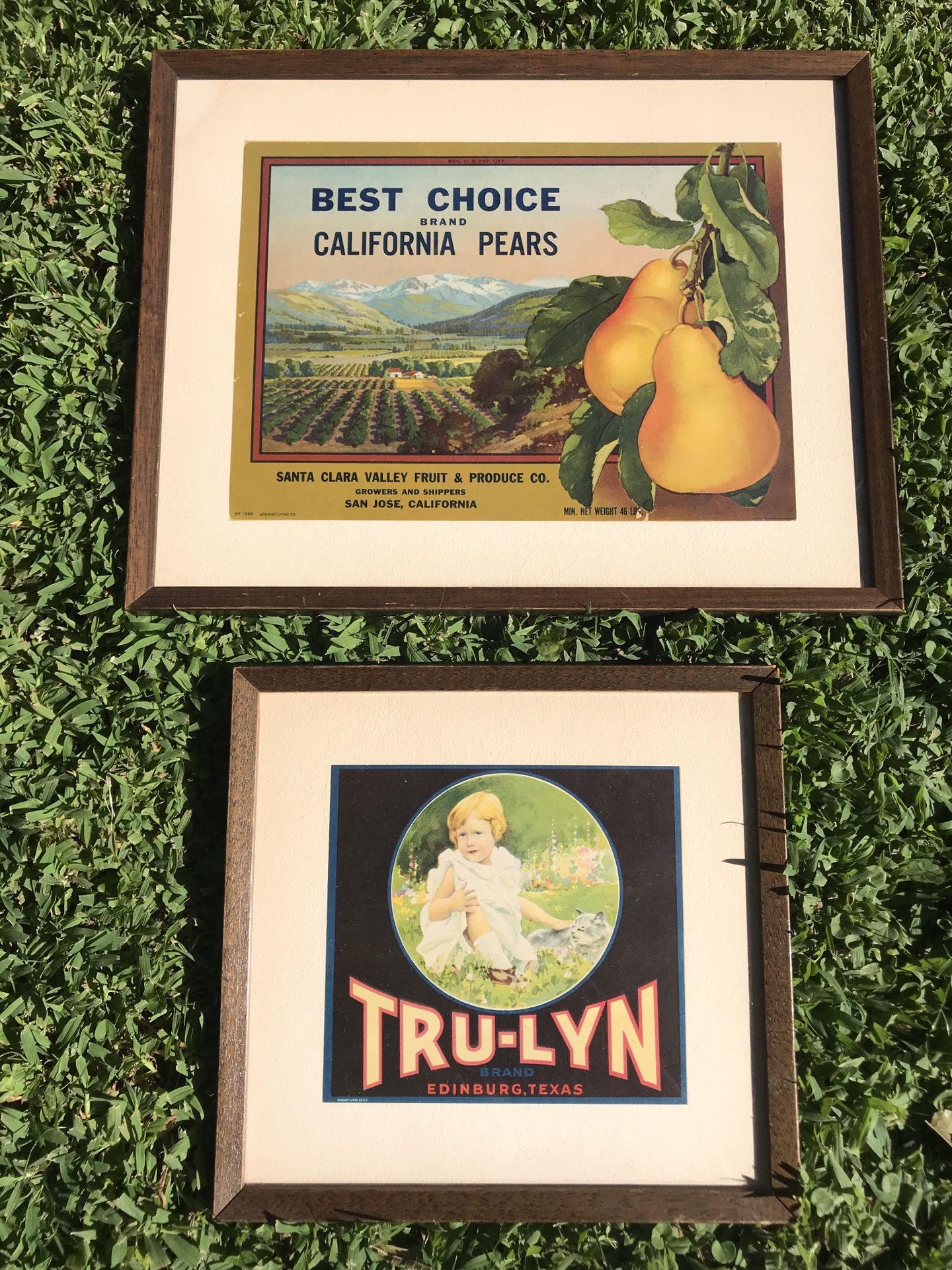 Vintage framed photos