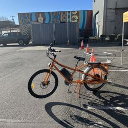 Radwagon 1 Original Cargo bike 