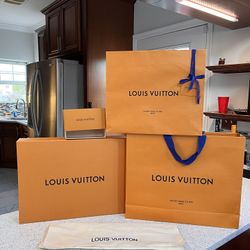 Louis Vuitton 5 piece shopping bag set