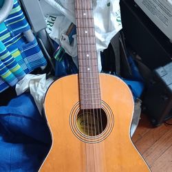 Crown Professional Vintage Guitar 
