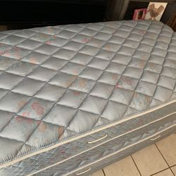 Twin Mattress And Box Spring