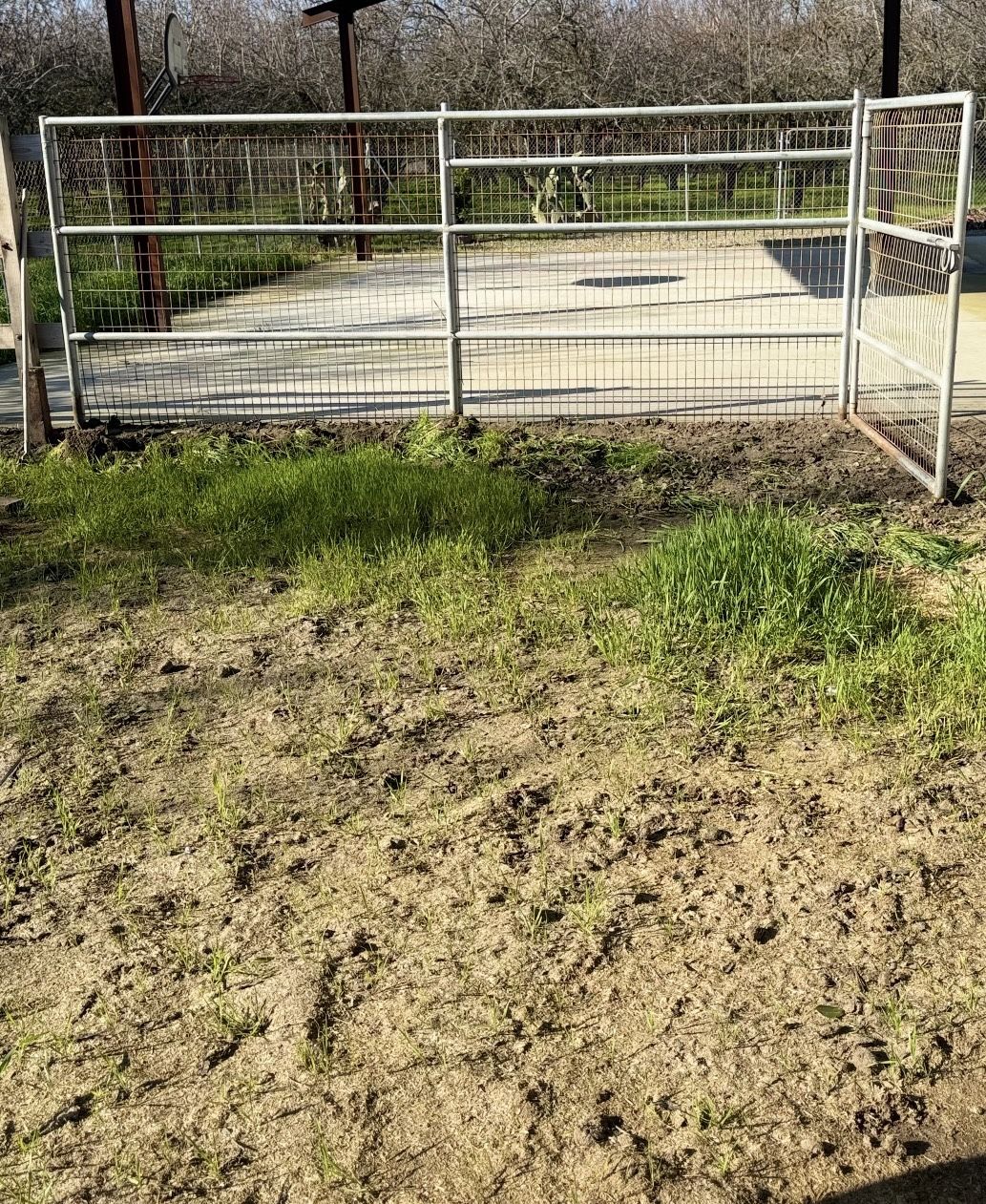 Wire Filled Horse Panels/Fences