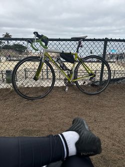 Trek Road Bike