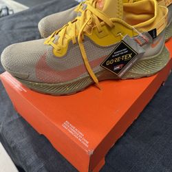 Nike Pegasus GTX