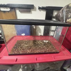 Reptile Tank 