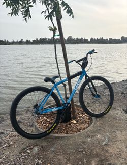 COOKIES BIKE (29) LIMITED EDITION