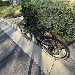 Carbon Fiber 29er HT
