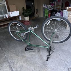 Vintage Nashiki Mountain Bike