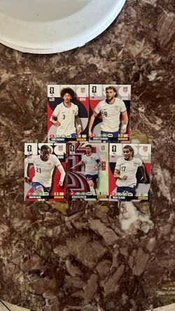 Panini adrenalyn XL WC 26 Cards USA