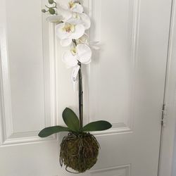 Artificial  Plant