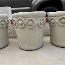 Plant Pot