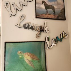 Framed Horse & Sea Turtle Posters