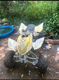 ATVs.    X-pro blast(yellow)  TAO motor(pink)