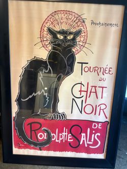 Black cat picture