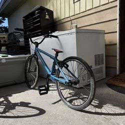Custom Junior Redline BMX Bike 🔥