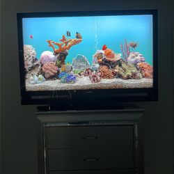 55” Vizio tv