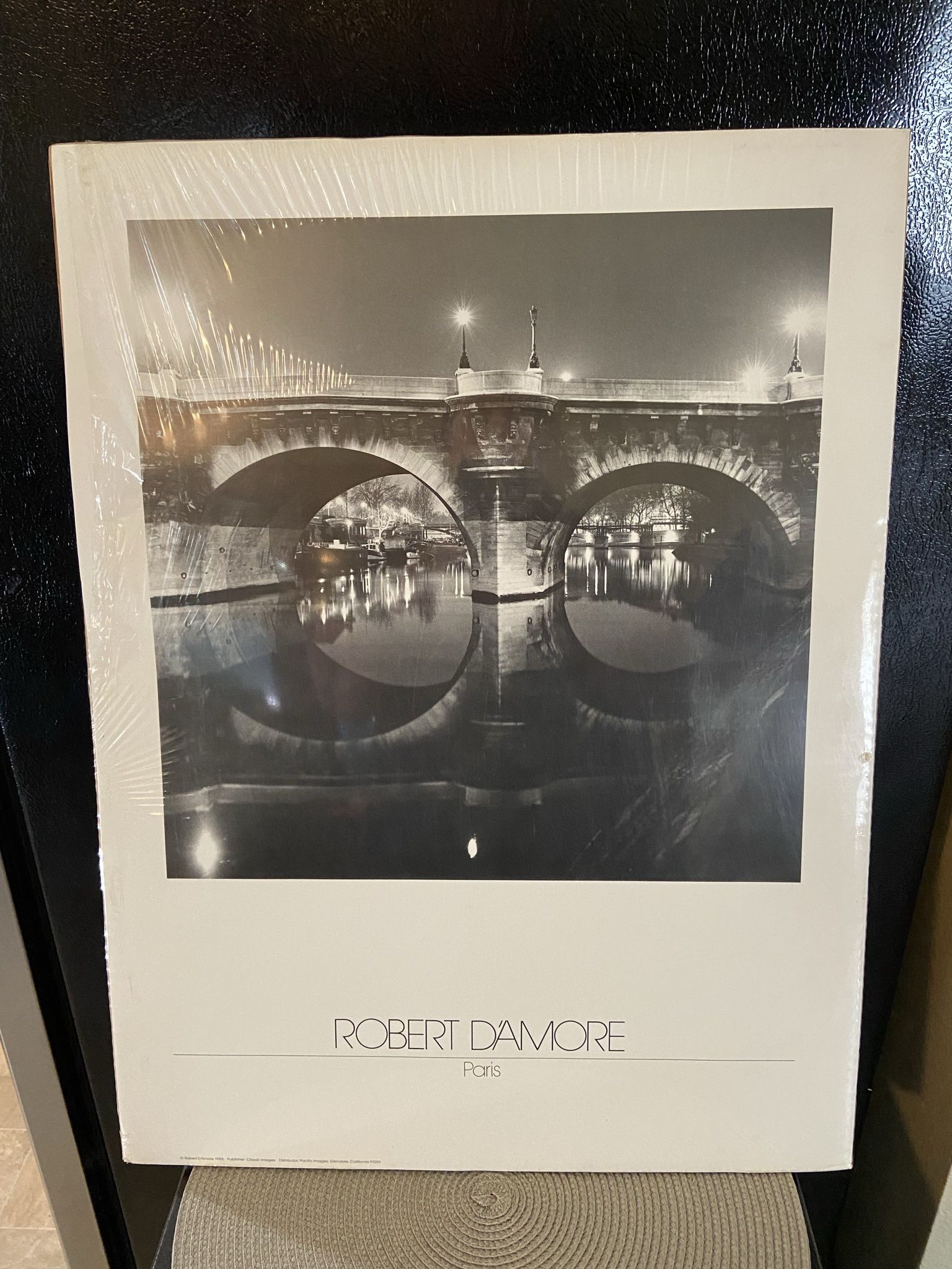 Robert D’Amore Paris Bridge Poster
